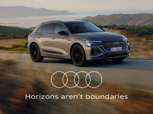 The Audi Q8 e-tron.